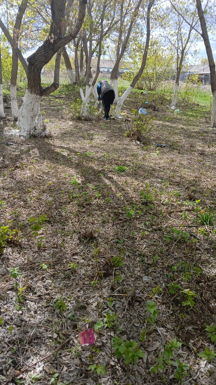 Табиғатты сақта - өзіңнен баста