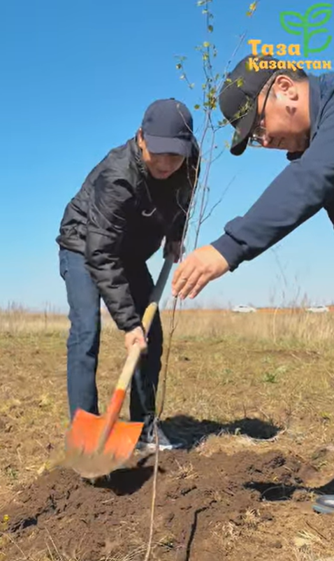 В Каргалинском районе в рамках республиканской экологической акции «Таза Қазақстан» были организованы масштабные мероприятия по посадке деревьев и проведению субботников по очистке территорий.
