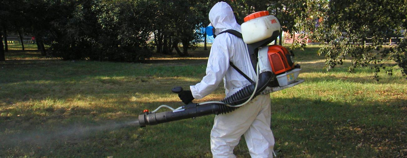 Кенелерге қарсы дезинсекциялық өңдеу