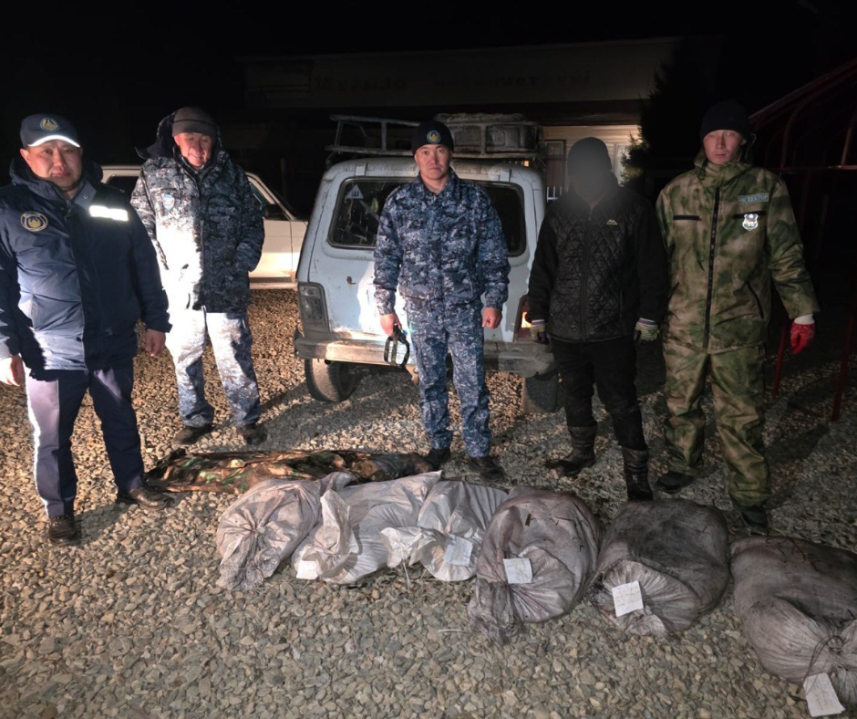 Заңсыз балық аулаған құқық бұзушылардың ұсталуы бойынша