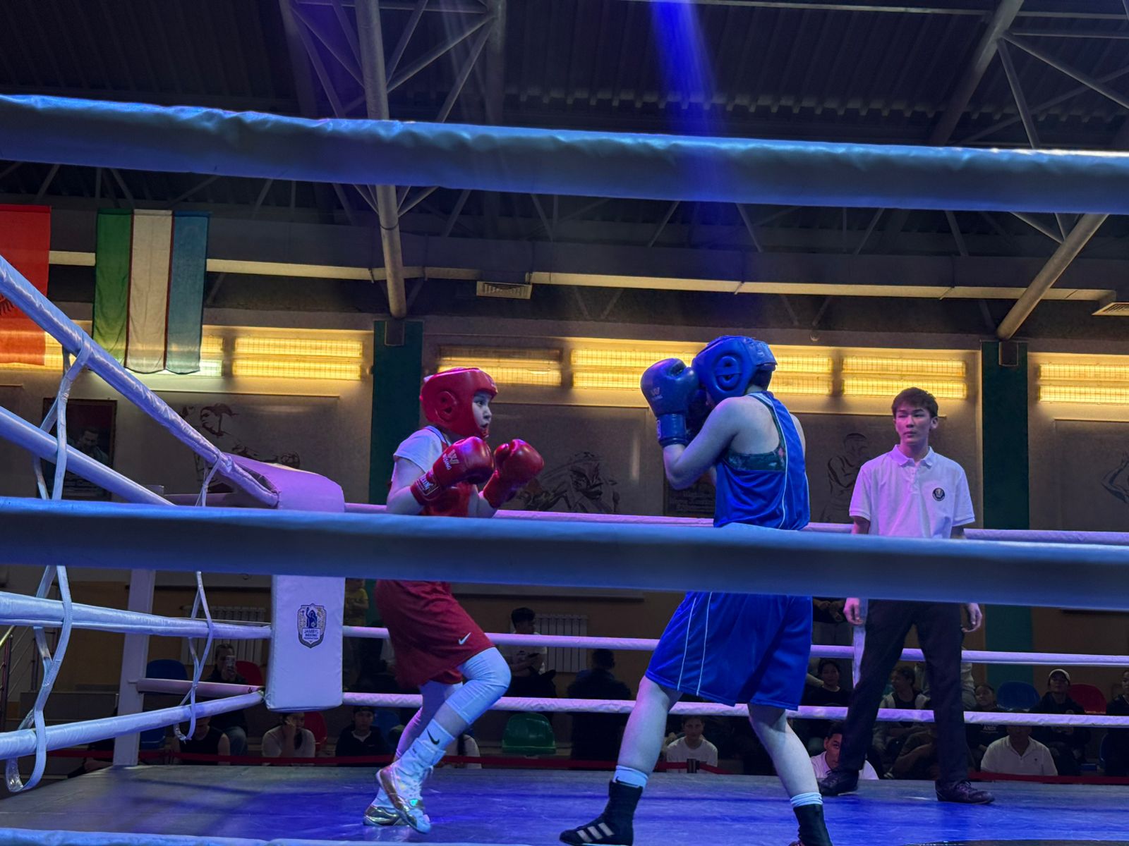 ӘУЛИЕАТАДА ҚЫЗДАР АРАСЫНДАҒЫ РЕСПУБЛИКАЛЫҚ БОКС ТУРНИРІ ӨТТІ