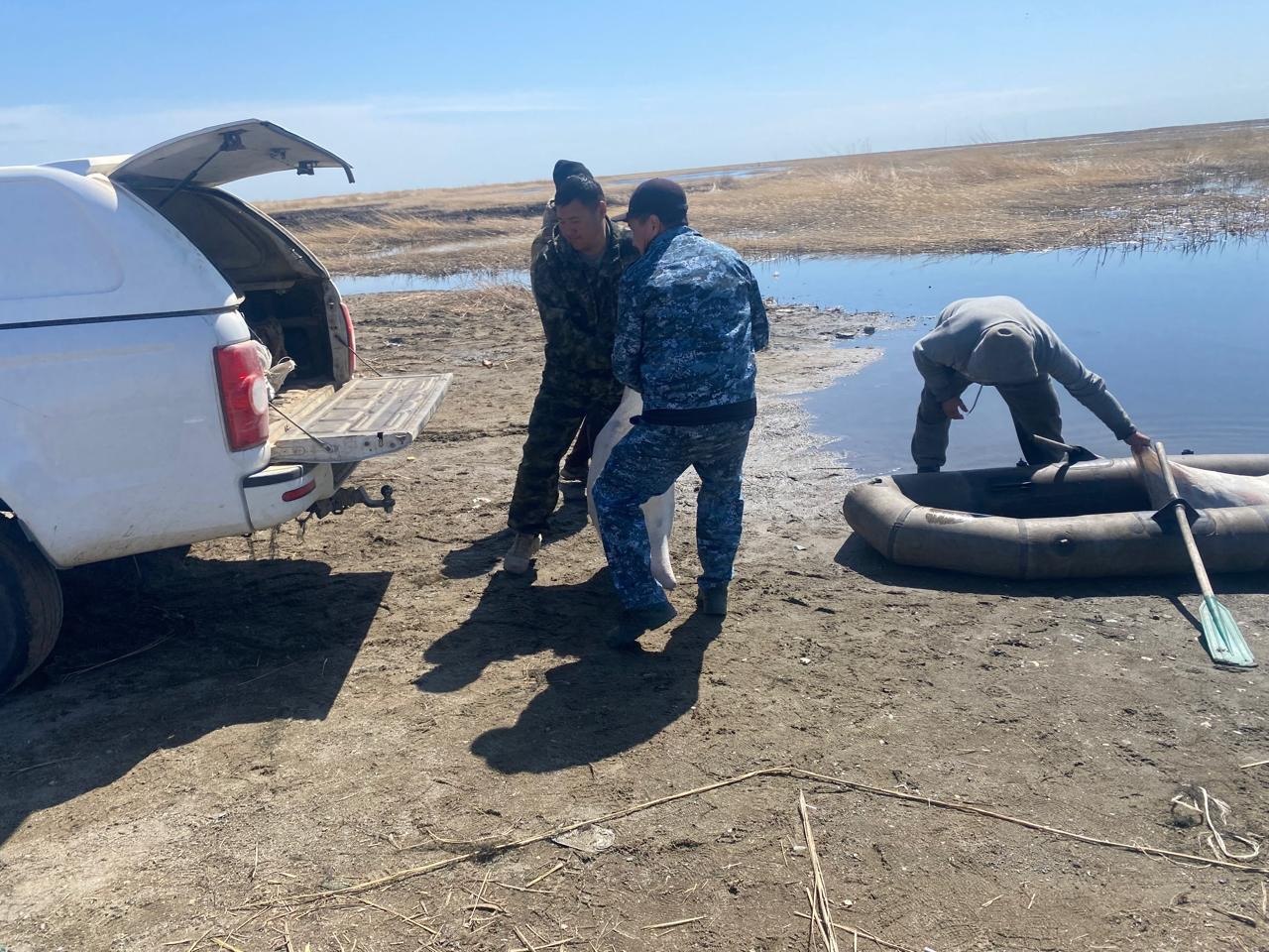 Заңсыз балық аулаған құқық бұзушылардың ұсталуы бойынша