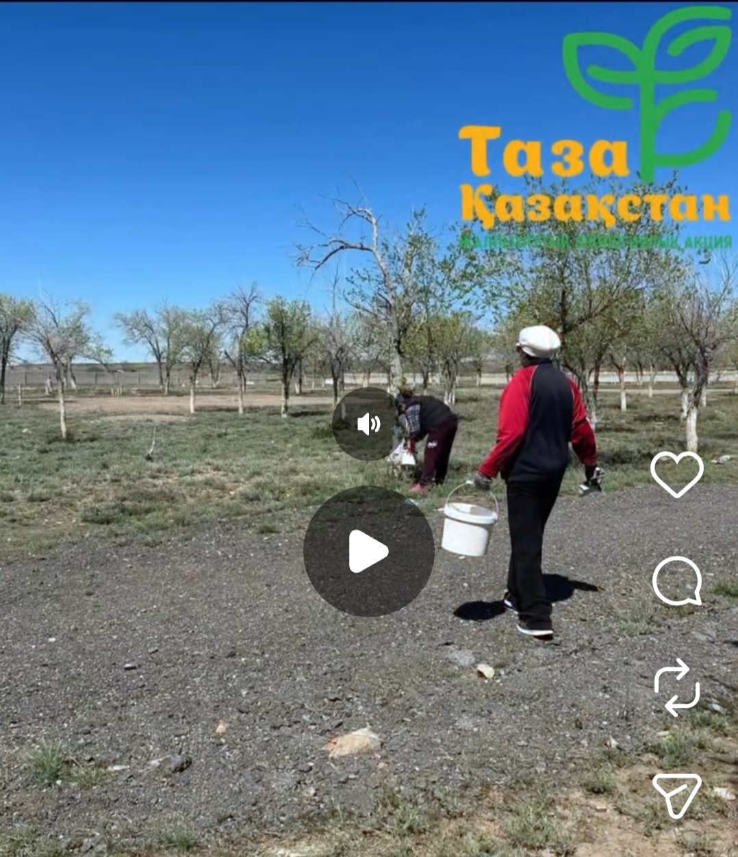 Таза бейсенбі