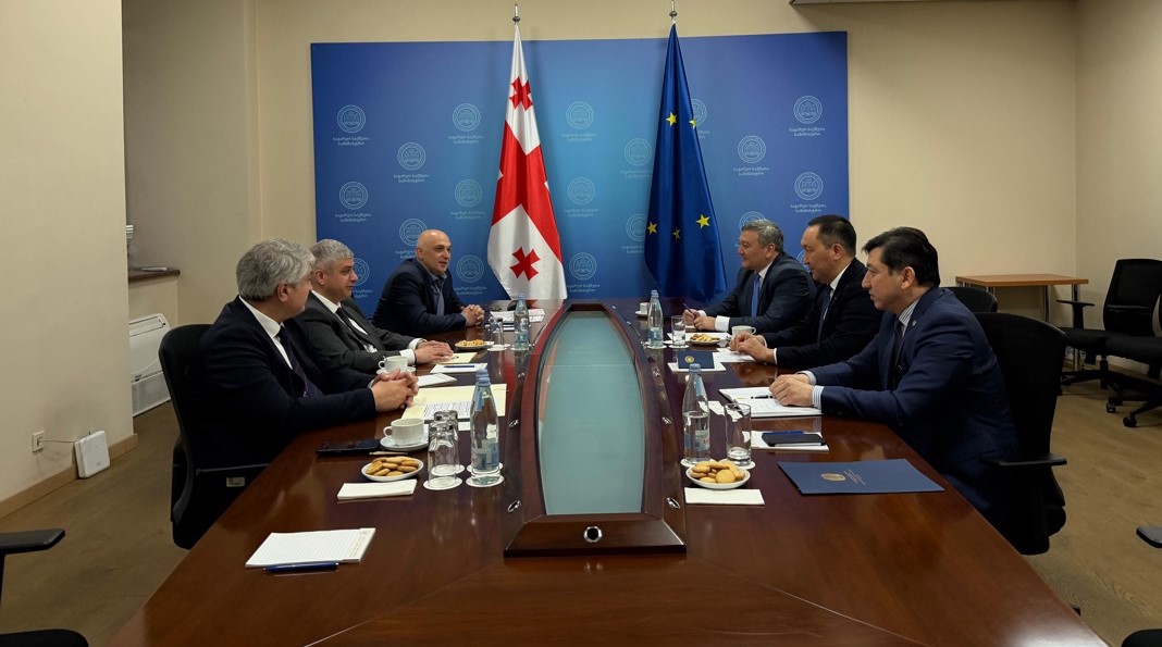 Қазақстан мен Грузия СІМ-дері кадрлық және әкімшілік басқару саласындағы ынтымақтастықты нығайтуда