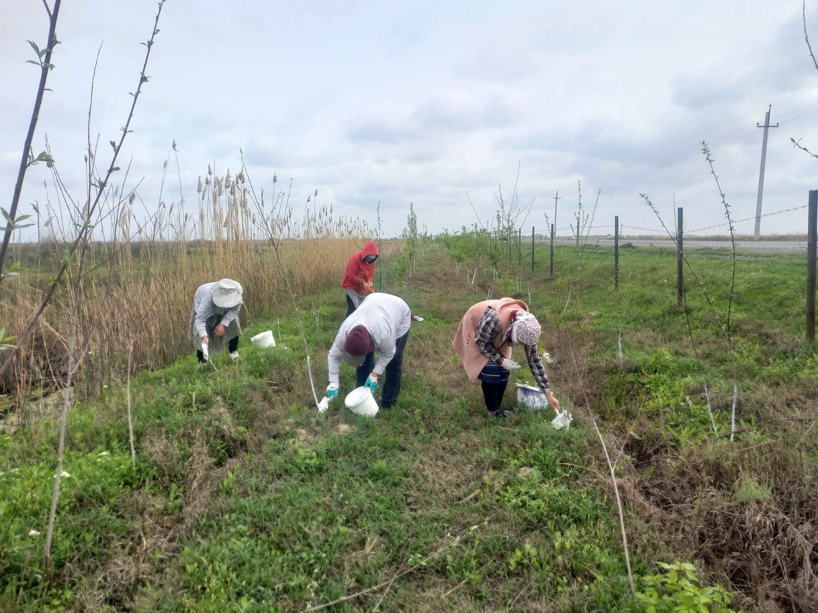 АУДАН АУМАҒЫНДА КЕҢ АУҚЫМДЫ СЕНБІЛІК ҰЙЫМДАСТЫРЫЛДЫ