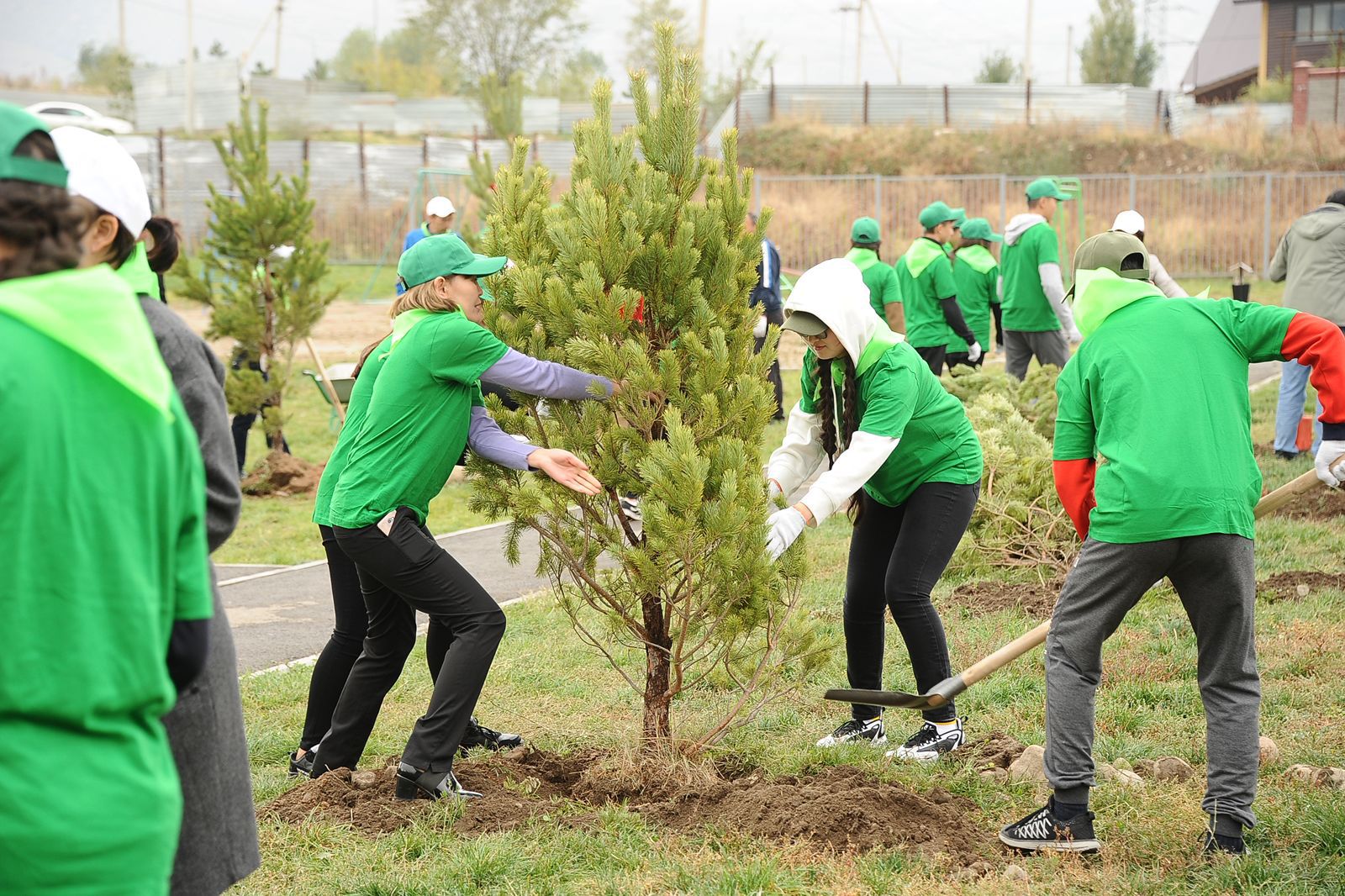 «Таза Қазақстан»: в Алматы в 2026 году высадят более 550 тыс. зеленых насаждений