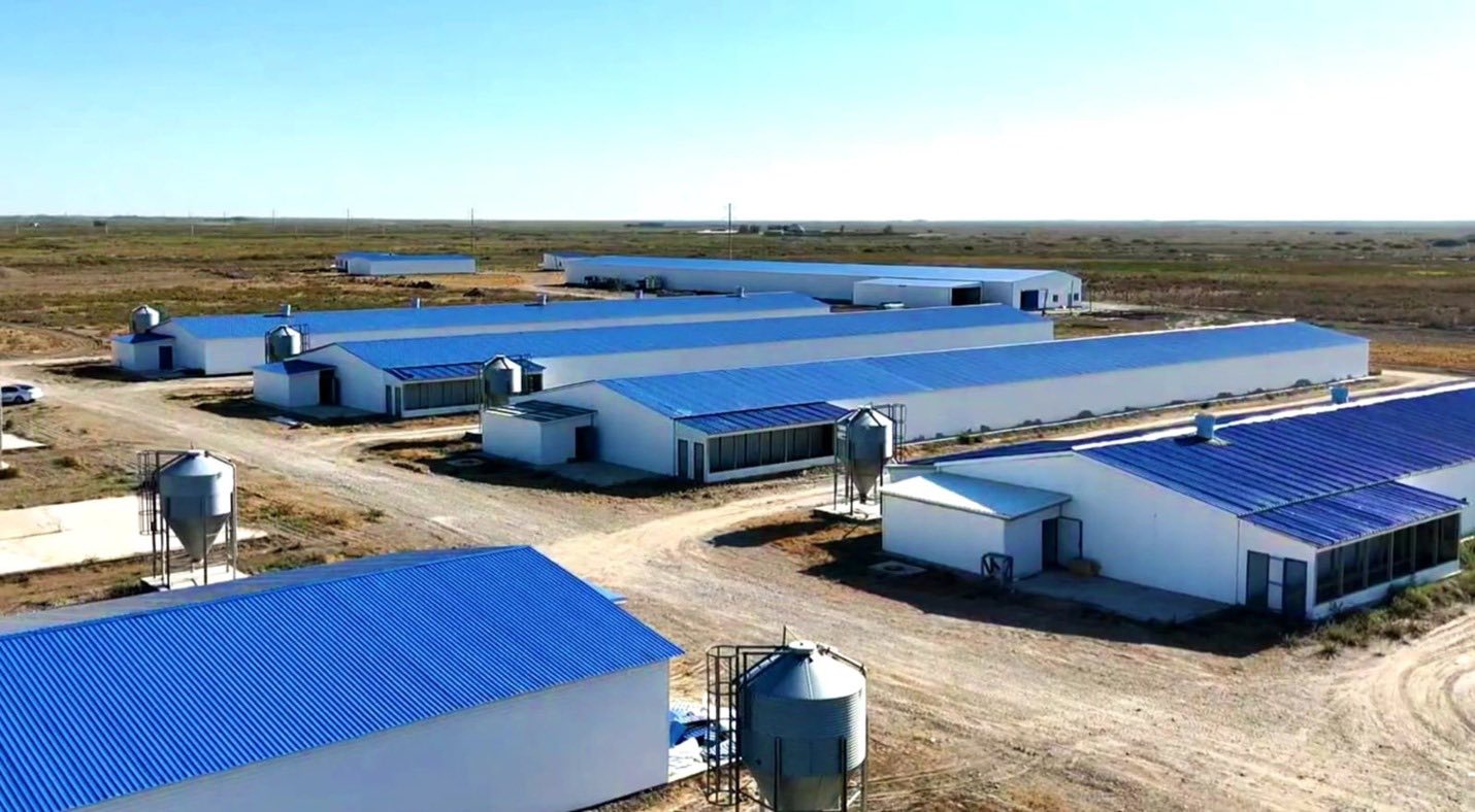 Жаңақорған ауданында құс фабрикасы жақын арада іске қосылады