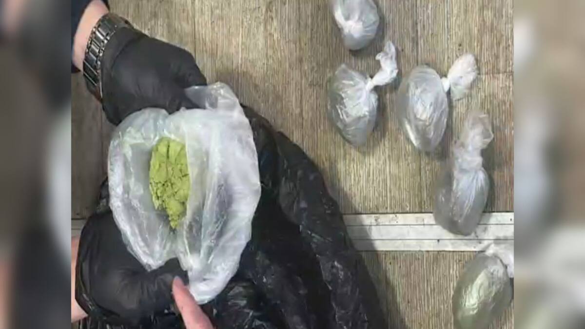 Бакс бекетте: елордада қызметтік ит бір күнде екі құқық бұзушылықты ашуға көмектесті