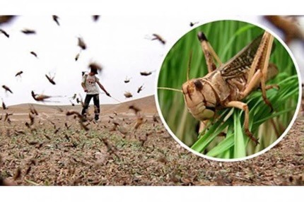 📌 ХАБАРЛАНДЫРУ