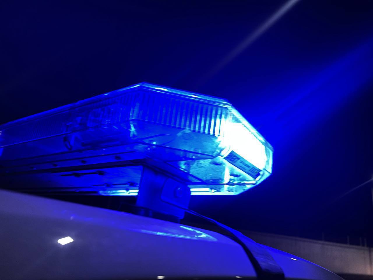 Абай облысында «Мал ұрлығына жол жоқ» профилактикалық іс-шарасы басталды