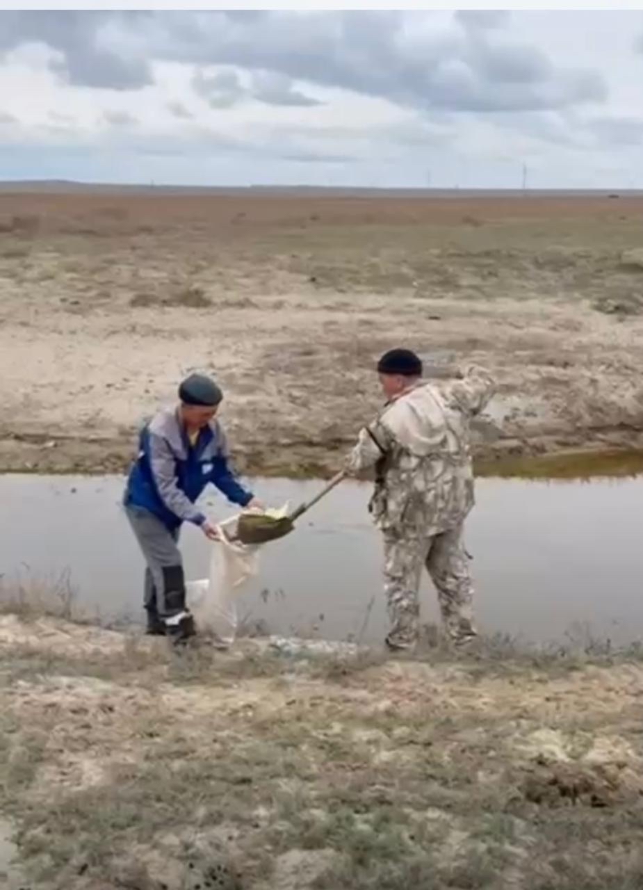 “Мөлдір бұлақ” экологиялық шарасы