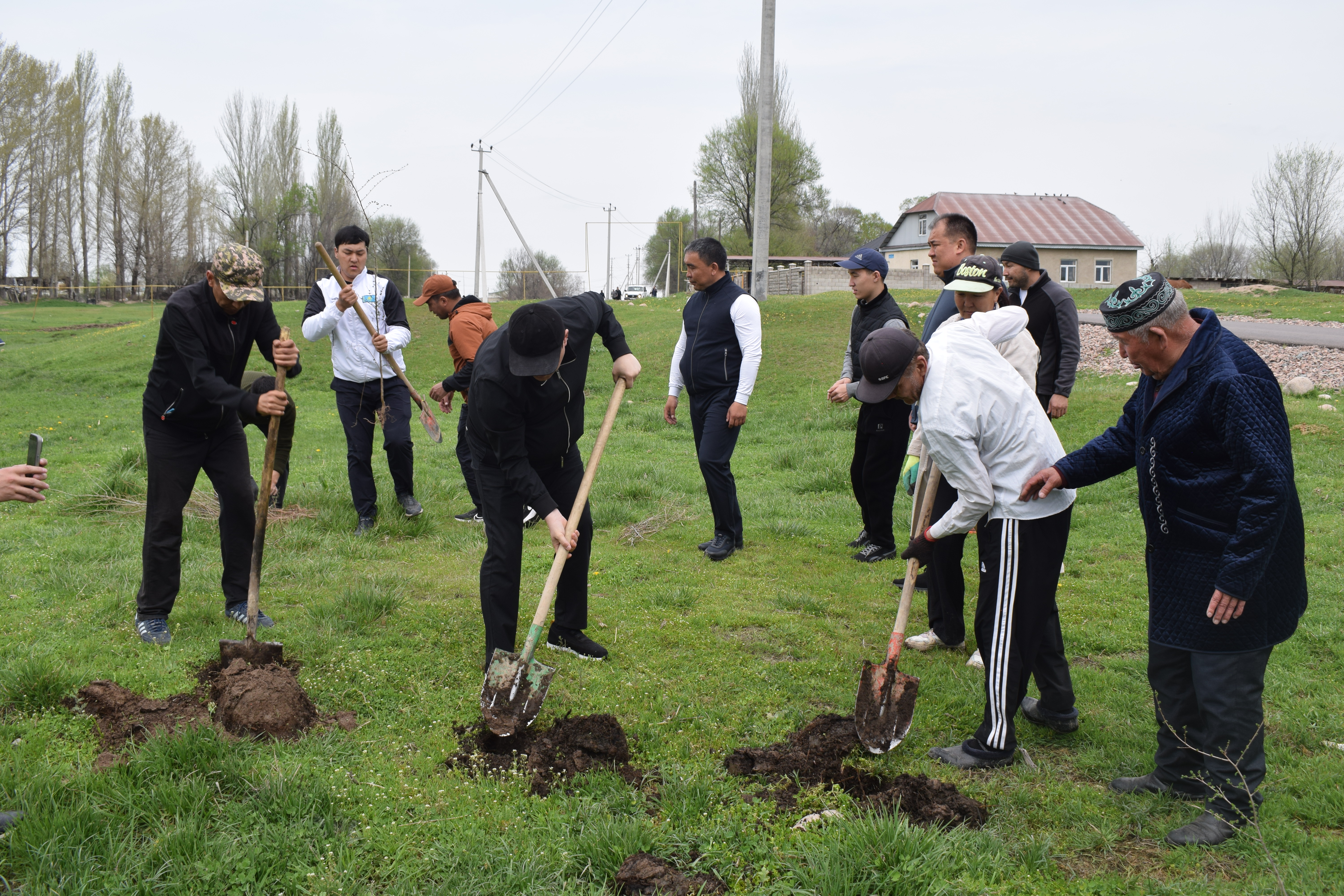 МЕРКІДЕ КӨКТЕМГІ ИГІ БАСТАМА: АУДАН БОЙЫНША АҒАШ ОТЫРҒЫЗУ АКЦИЯСЫ ӨТТІ