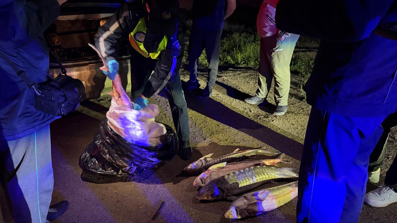 Ақтауда заңсыз қызыл балық тасымалдаған азамат ұсталды