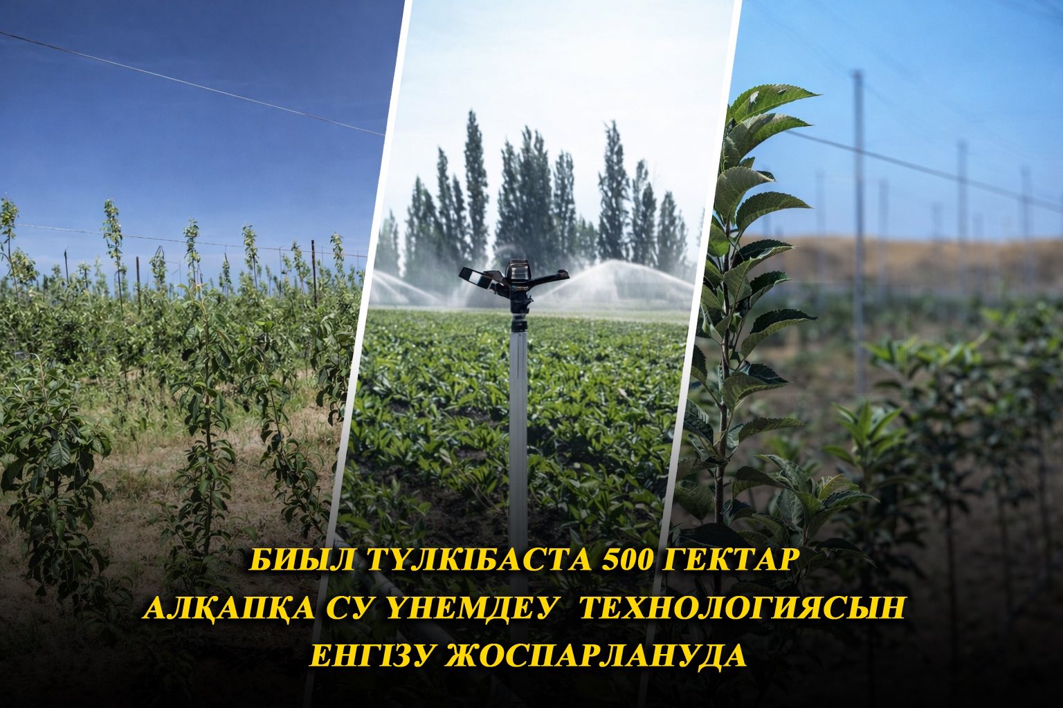 БИЫЛ ТҮЛКІБАСТА 500 ГЕКТАР АЛҚАПҚА СУ ҮНЕМДЕУ ТЕХНОЛОГИЯСЫ ЕНГІЗУ ЖОСПАРЛАНУДА