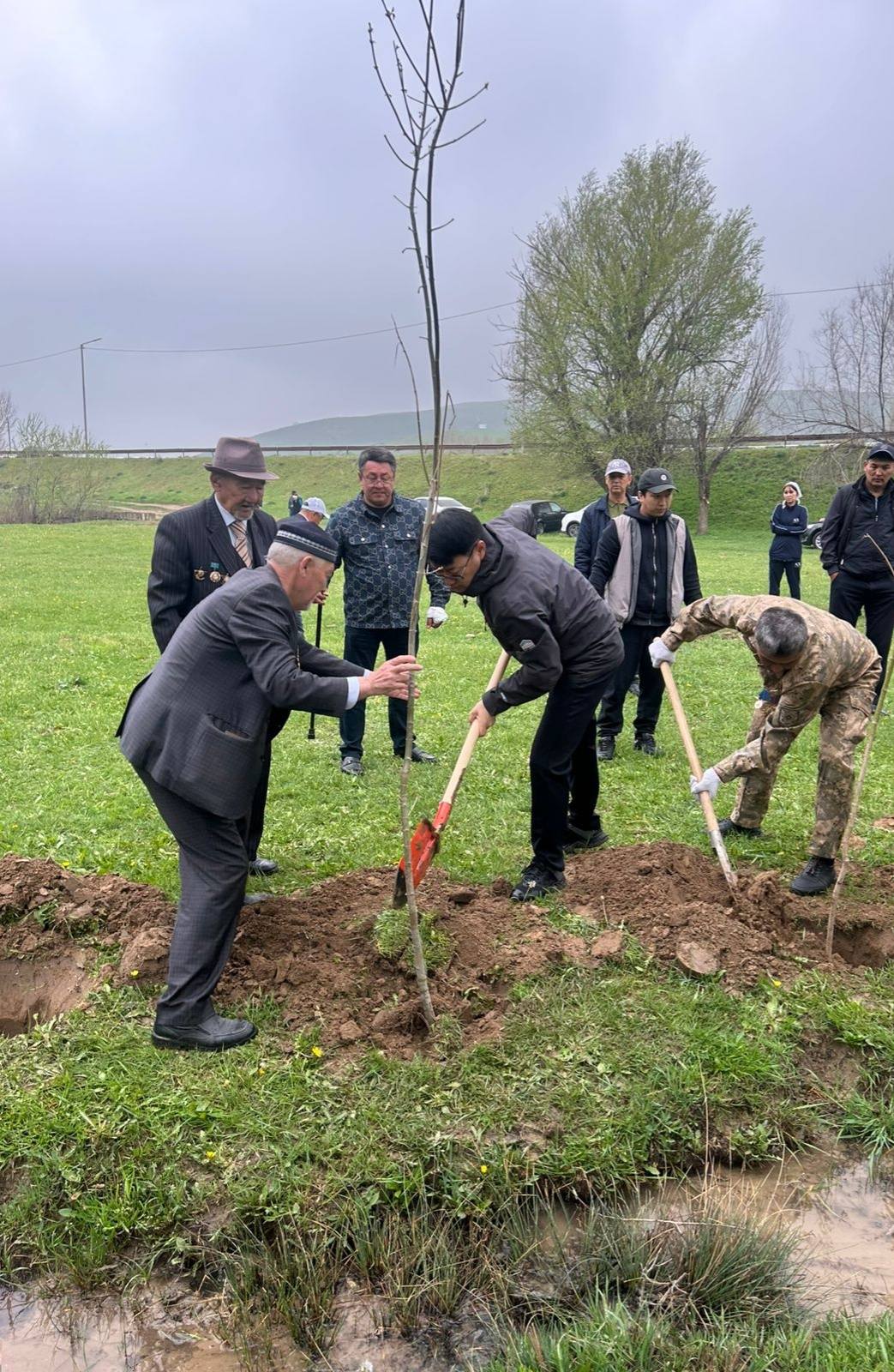 ТӨЛЕБИ АУДАНЫНДА «ТАЗА ҚАЗАҚСТАН» ЖОБАСЫ АЯСЫНДА КӨГАЛДАНДЫРУ ЖҰМЫСТАРЫ ЖҮРГІЗІЛДІ