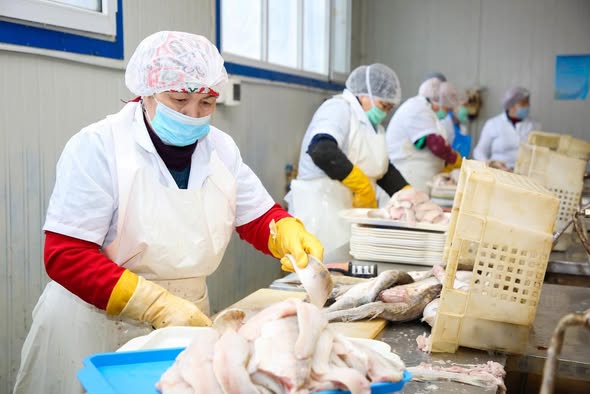 «Арал» сервистік-дайындау орталығы» ЖШС