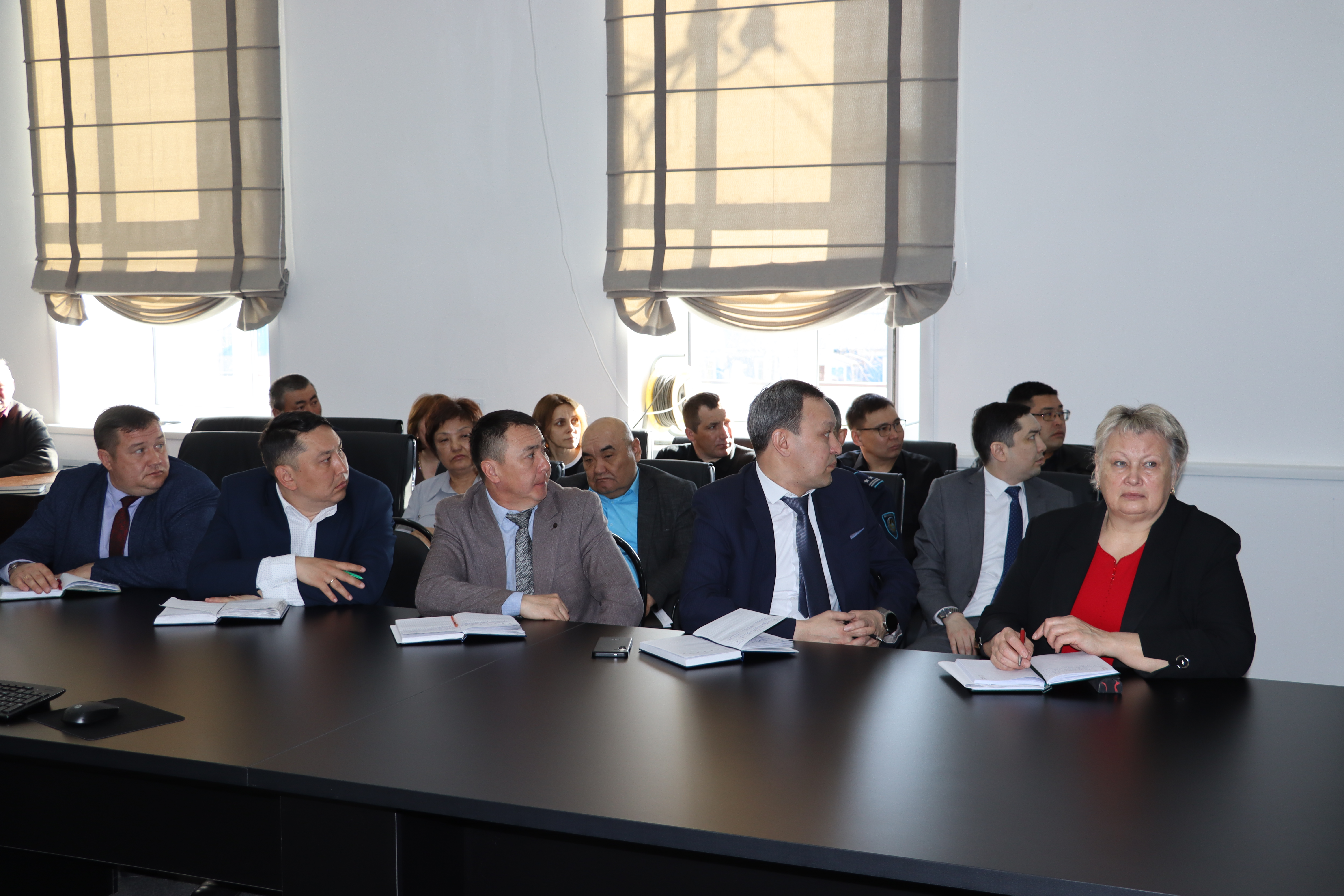 Бюджеттің кіріс бөлігін атқару және мәдениет саласын дамыту мәселелері бойынша жедел кеңесі