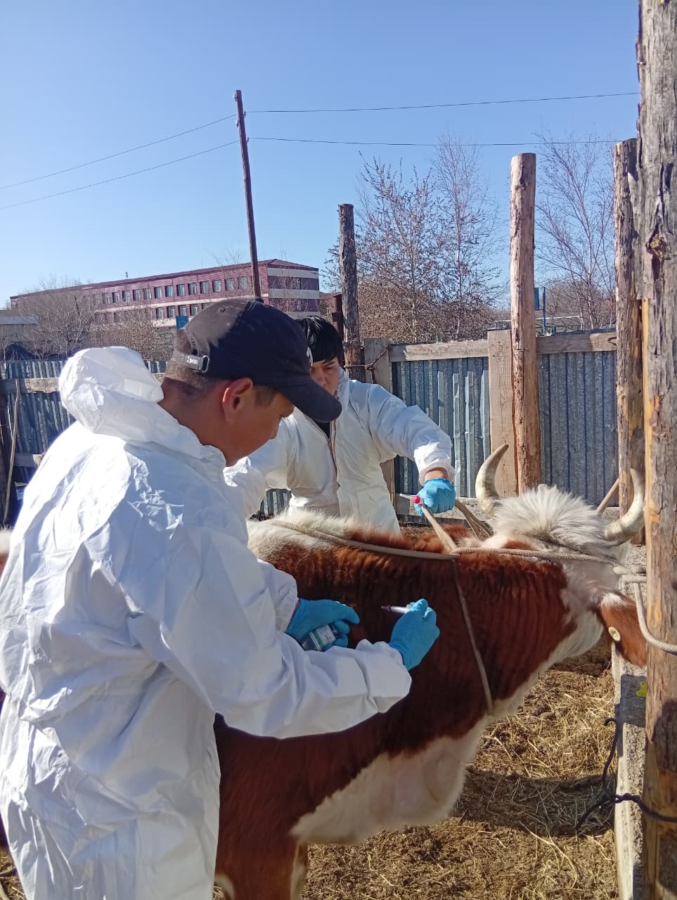 3-айда атқарылған ветеринариялық іс-шаралар туралы