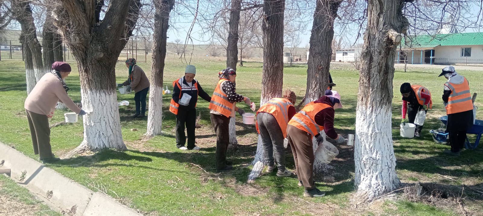 "Тазалық күні "