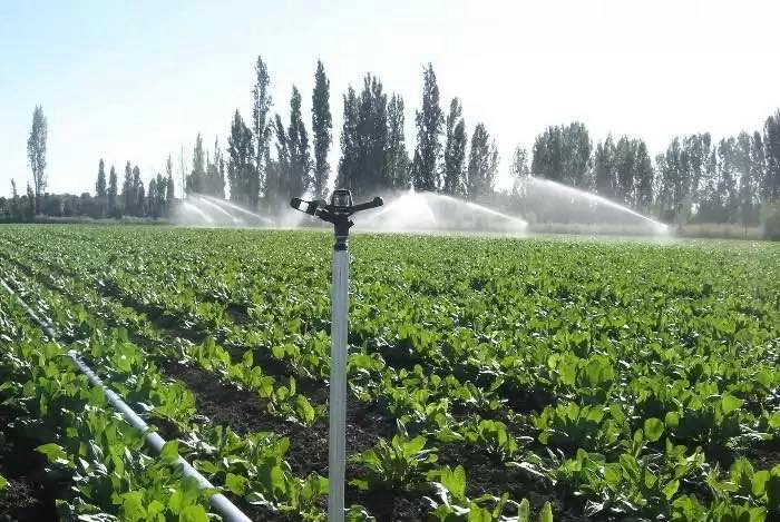 ТҮРКІСТАН ОБЛЫСЫНЫҢ ТАУЛЫ АЙМАҒЫНДА СУ ҮНЕМДЕУ ТЕХНОЛОГИЯСЫ ЕНДІРІЛІП ЖАТЫР