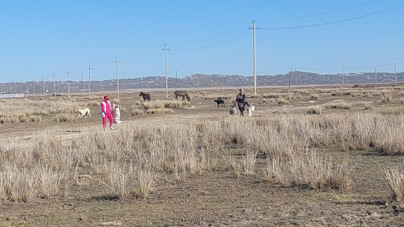 Кеншоқы  а/о   бойынша,  "Таза  Қазақстан"   акциясы  бойынша облыстық    сенбілік жасалды.