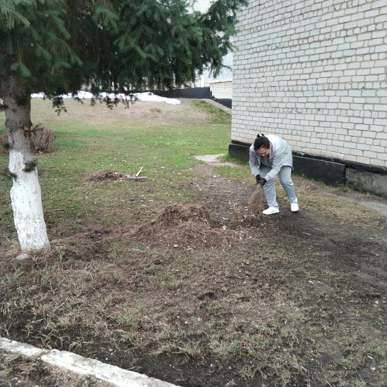 Тоқжайлау орта мектебінде көктемгі сенбілік өтті