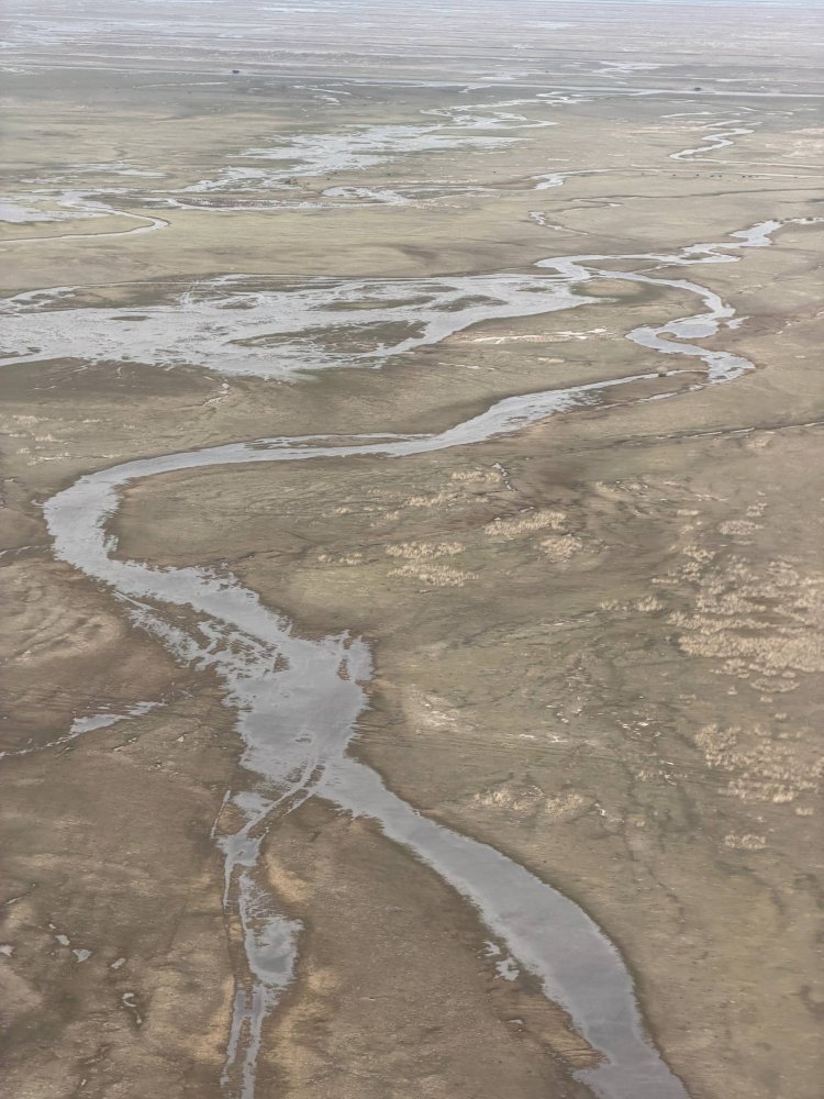 Баянауылдағы тексеріс ұшуы: лимандарды қалпына келтіру су тасқыны қаупін азайтады және аграрлық әлеуетті күшейтеді