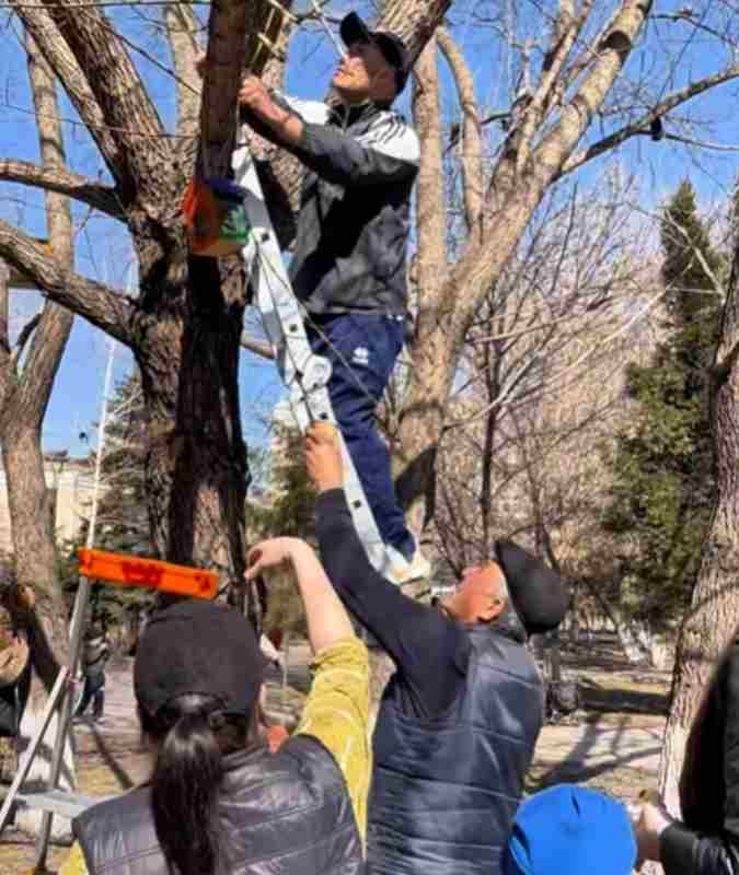 Құстар үшін ұя, балалар үшін қуаныш