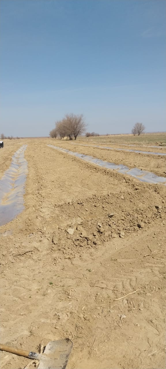 Көктемгі егіс дала жұмыстары бойынша