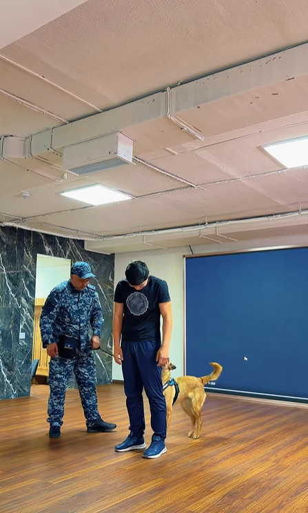 Шымкентте студенттерге есірткі қылмыстарының құқықтық салдары түсіндірілді