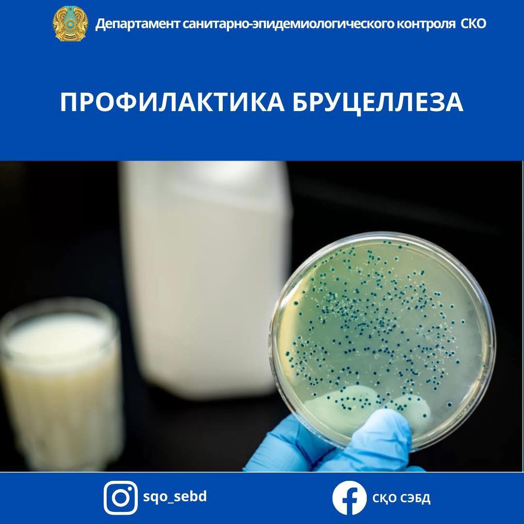 Профилактика бруцеллеза