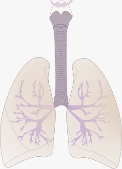 Созылмалы обструктивті өкпе ауруы (СОӨА)