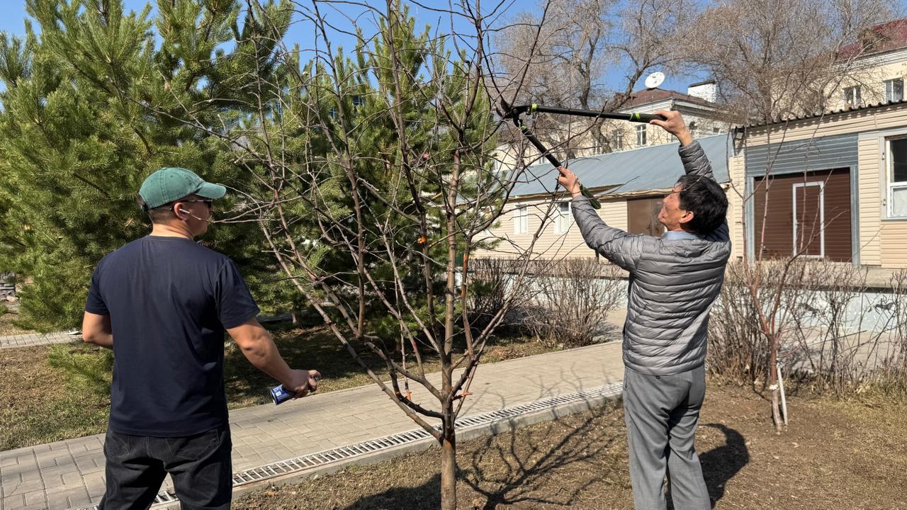 «Өзіңнен баста!»: Астанада мәдениет саласының өкілдері тазалық челленджіне қатысты