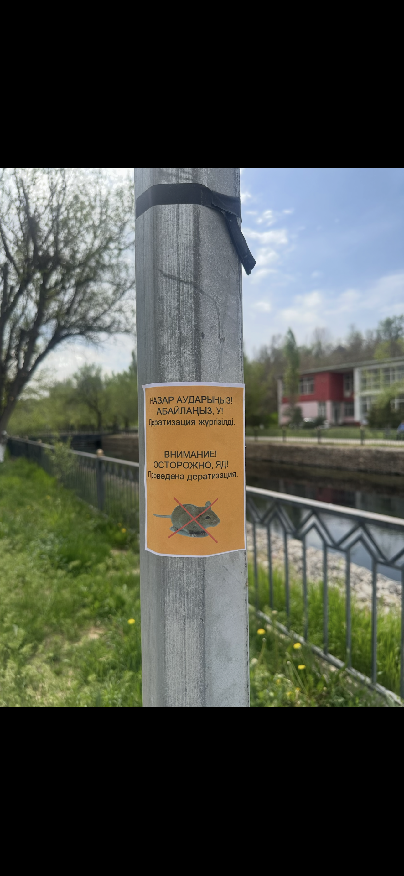 ШЫМКЕНТ ҚАЛАСЫ БОЙЫНША 2026 ЖЫЛҒА КЕМІРГІШТЕРГЕ ҚАРСЫ ЗАЛАЛСЫЗДАНДЫРУ ЖҰМЫСТАРЫ БАСТАЛДЫ.