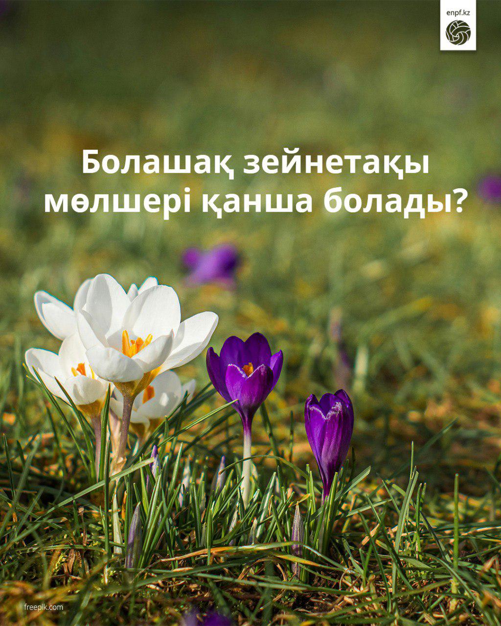 Болашақ зейнетақы мөлшеріңіз қанша болады?