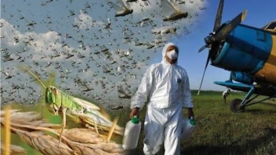 ВАЖНОЕ ЗАМЕЧАНИЕ ВЛАДЕЛЬЦАМ ПАСЕК: ОПРЕДЕЛЕНЫ ЗОНЫ, ГДЕ БУДЕТ ПРОВОДИТЬСЯ ОБРАБОТКА