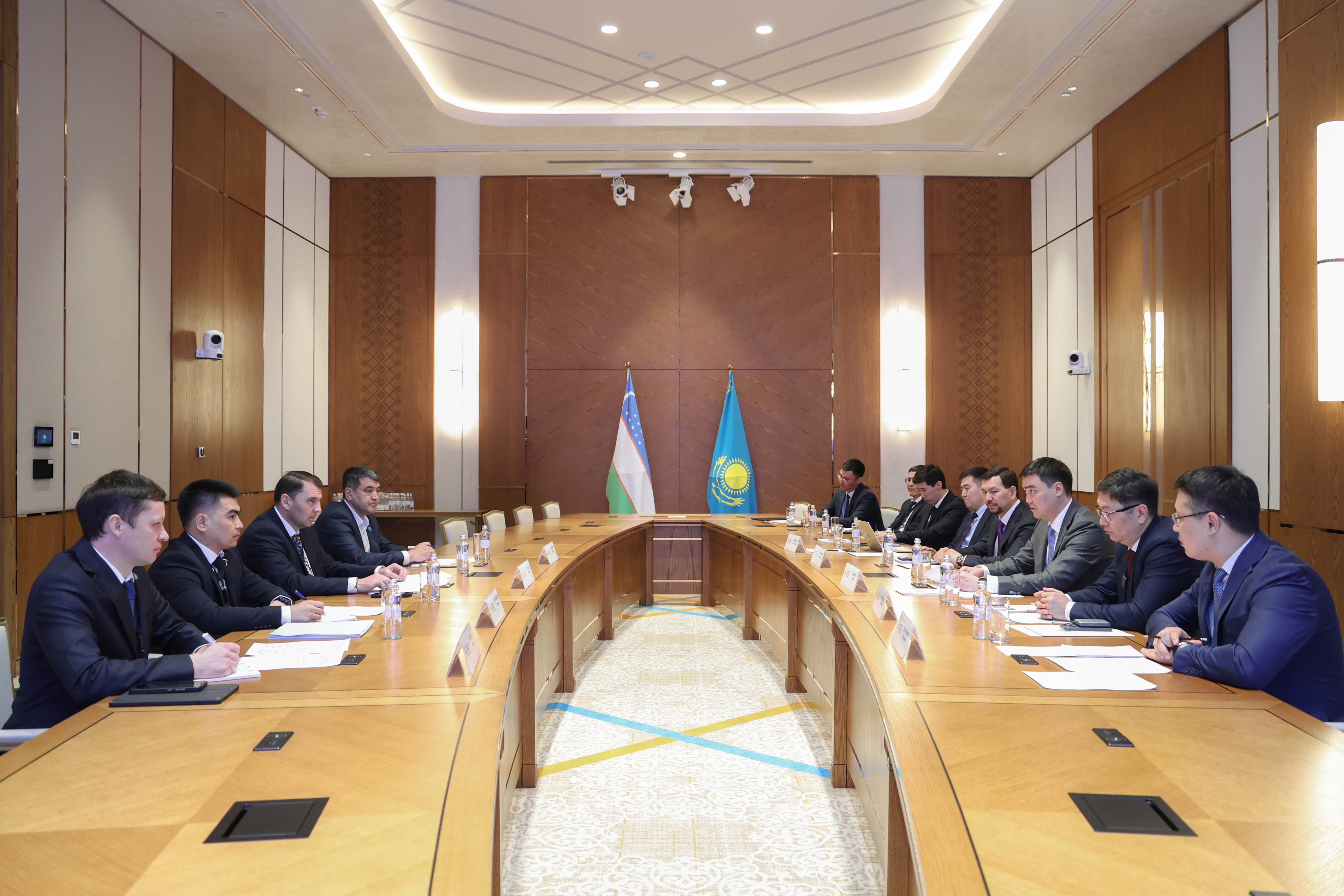 Казахстан и Узбекистан провели первое заседание рабочей группы по геологии и редкоземельным металлам