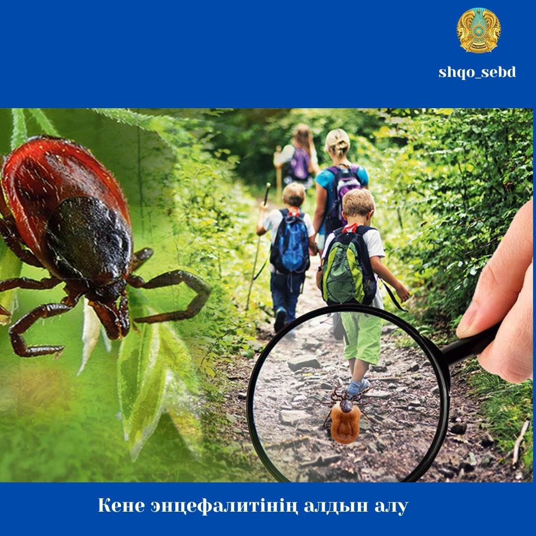 Кене энцефалитінің алдын алу