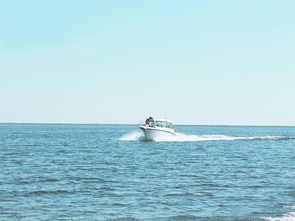 Жетісуда Балқаш көлі жағалауындағы жер учаскелері инвесторлар үшін ашық аукционға шығарылды