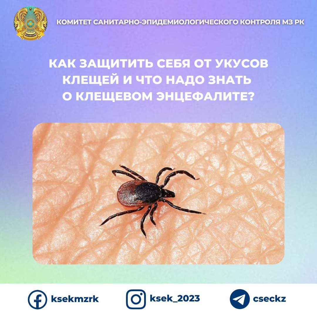 КАК ЗАЩИТИТЬ СЕБЯ ОТ УКУСОВ КЛЕЩЕЙ И ЧТО НАДО ЗНАТЬ О КЛЕЩЕВОМ ЭНЦЕФАЛИТЕ?