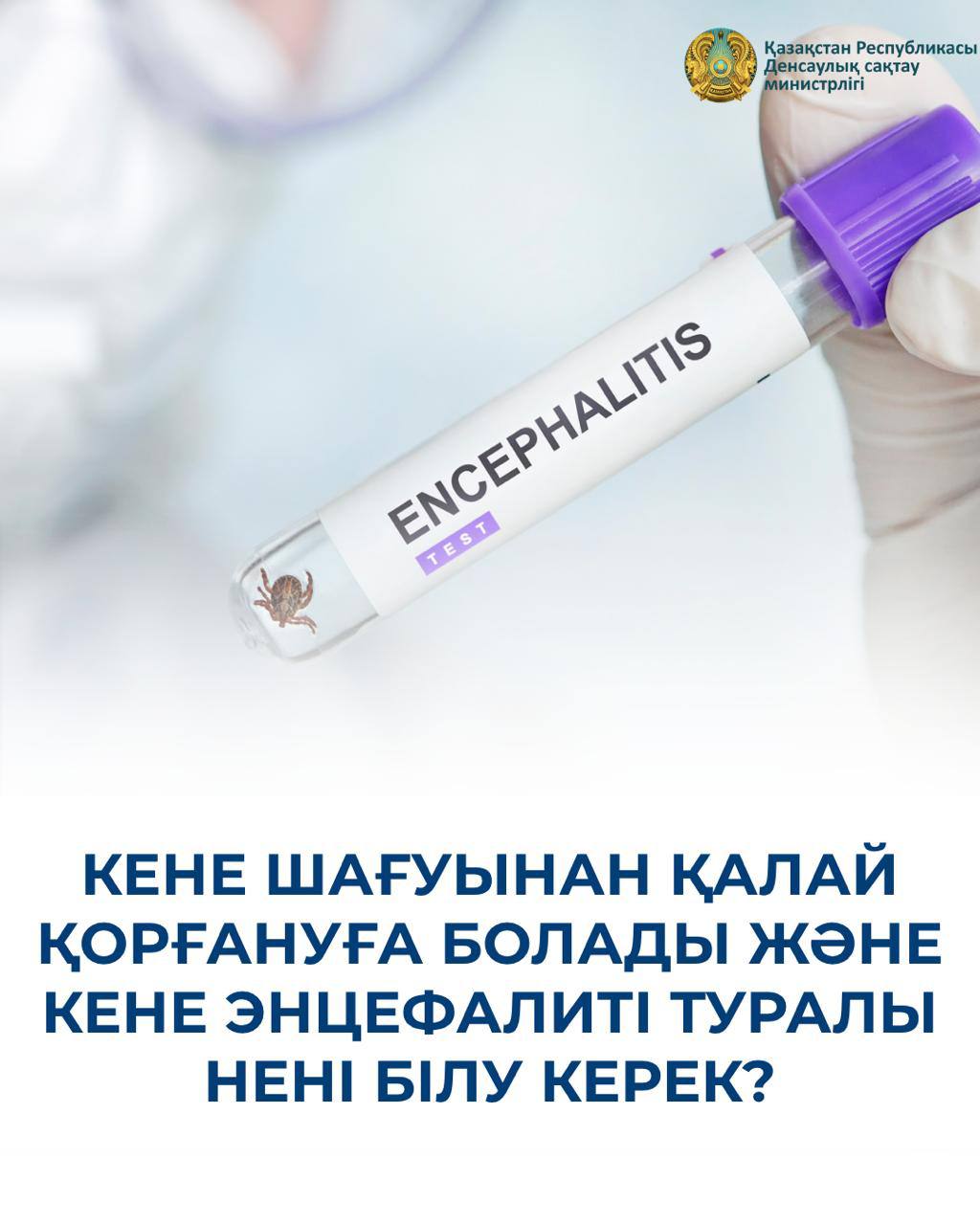 КЕНЕ ШАҒУЫНАН ҚАЛАЙ ҚОРҒАНУҒА БОЛАДЫ ЖӘНЕ КЕНЕ ЭНЦЕФАЛИТІ ТУРАЛЫ НЕНІ БІЛУ КЕРЕК?