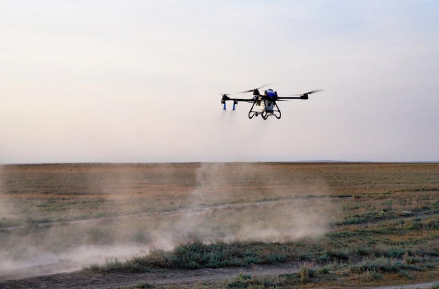 Шегірткеге қарсы күрес шараларына 100-ден астам дрон жұмылдырылады