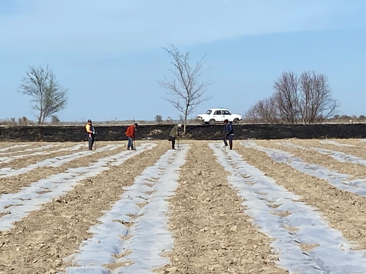 Көктем – адам еңбегінің қызған шағы