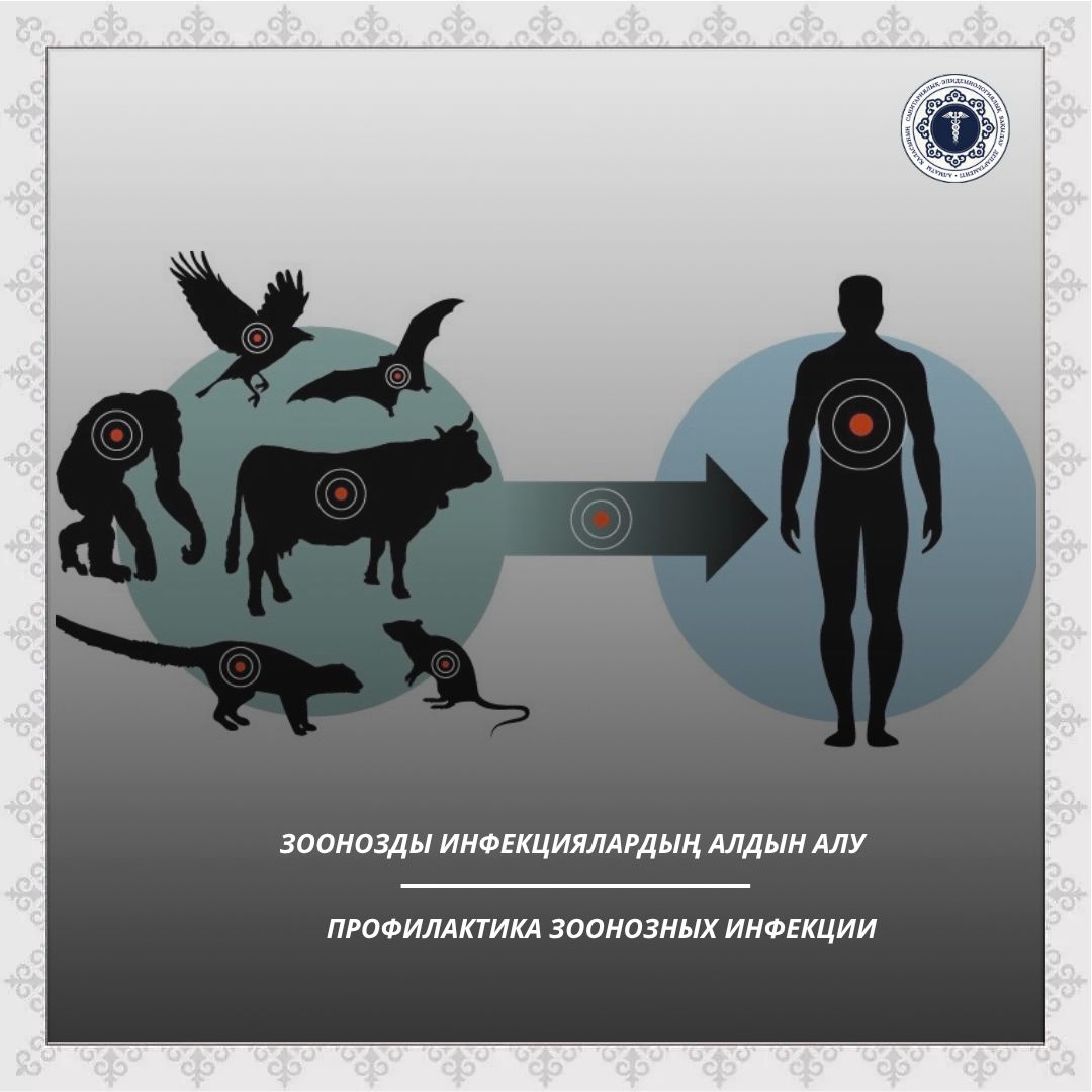 Зоонозды инфекциялардың алдын алу