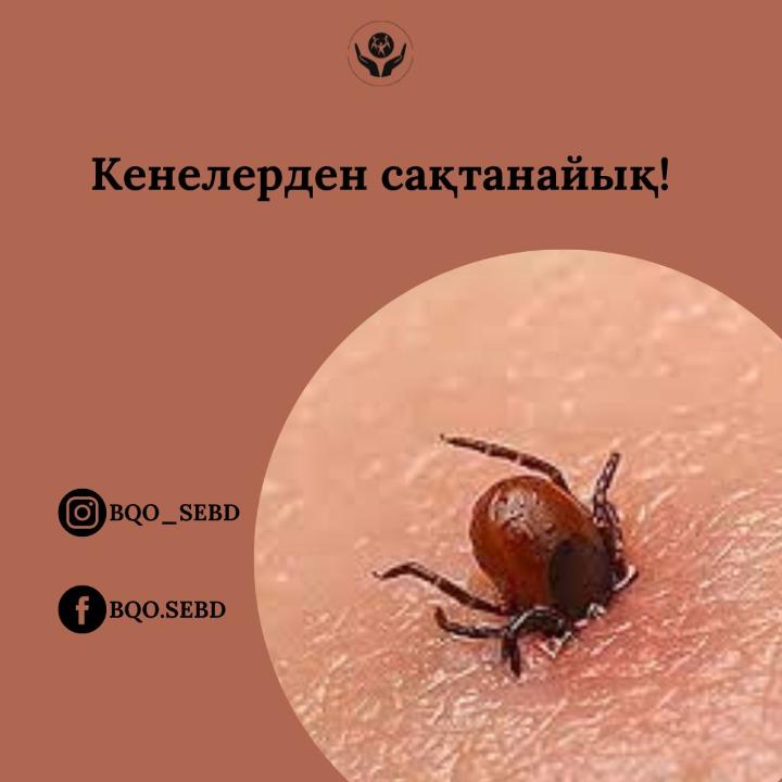 Кенелердан сақтанайық!