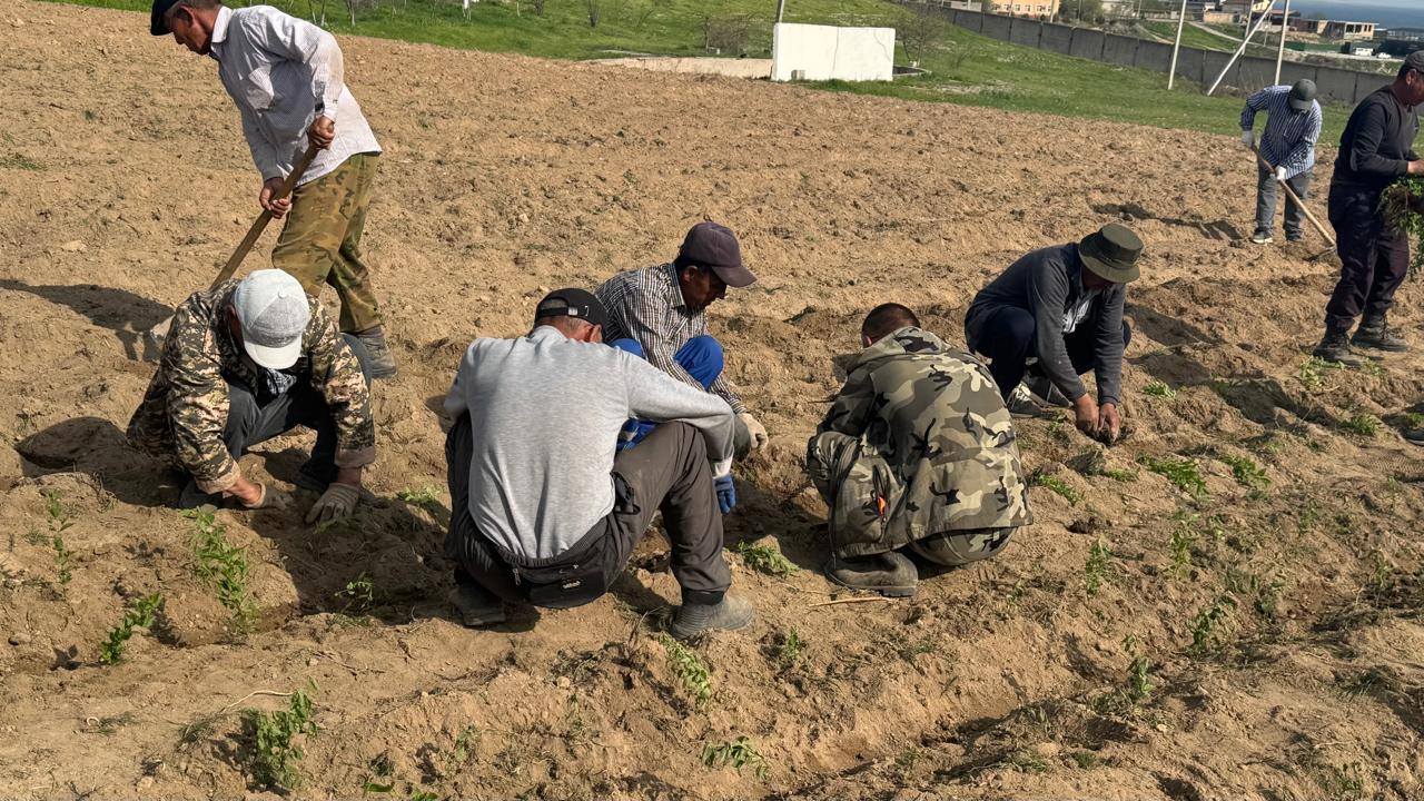 “Таза Қазақстан” экологиялық бағдарламасы