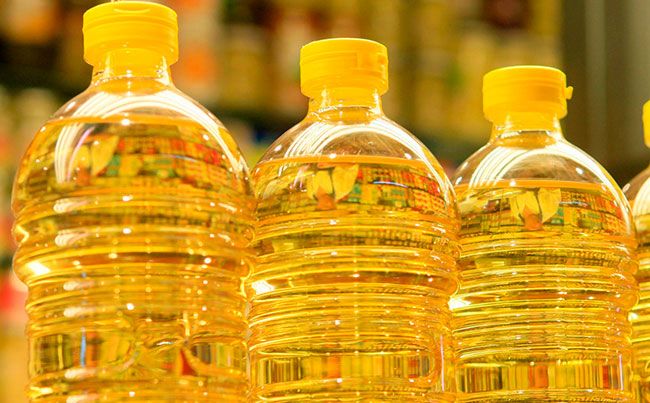 СҚО-да Tiryaki Agro компаниясы май өндіру зауытын салады