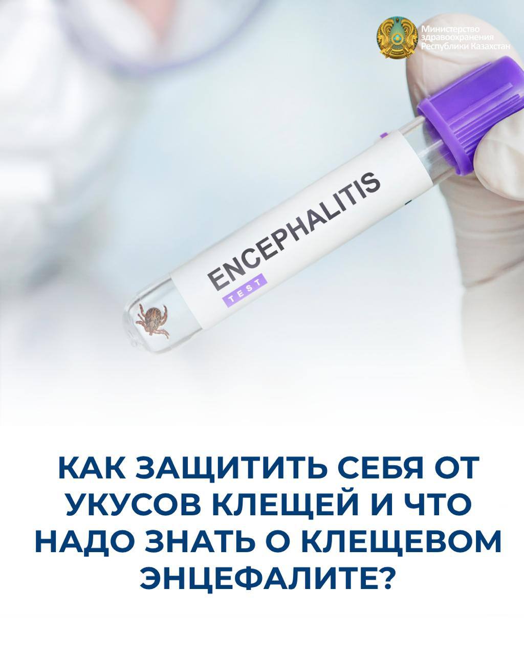 КАК ЗАЩИТИТЬ СЕБЯ ОТ УКУСОВ КЛЕЩЕЙ И ЧТО НАДО ЗНАТЬ О КЛЕЩЕВОМ ЭНЦЕФАЛИТЕ?