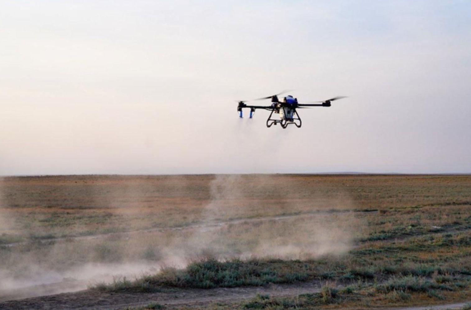 Шегірткеге қарсы күрес шараларына 100-ден астам дрон жұмылдырылады