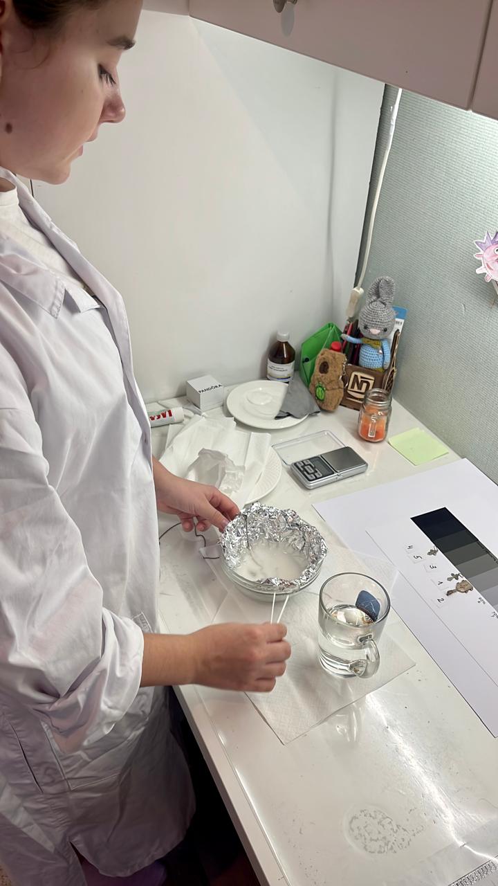 Павлодарлық оқушы IT мен химияның көмегімен Қазақстанның күміс қазыналарын сақтаудың жолын көрсетті